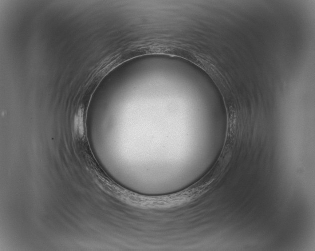 X0000079300046200612011801