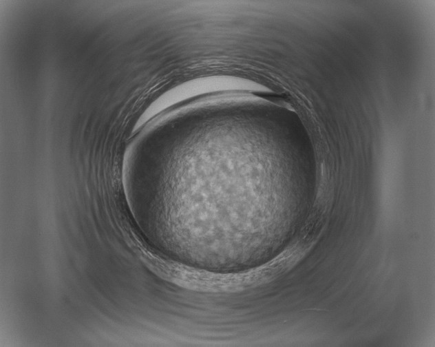 X0000079300048200612011801