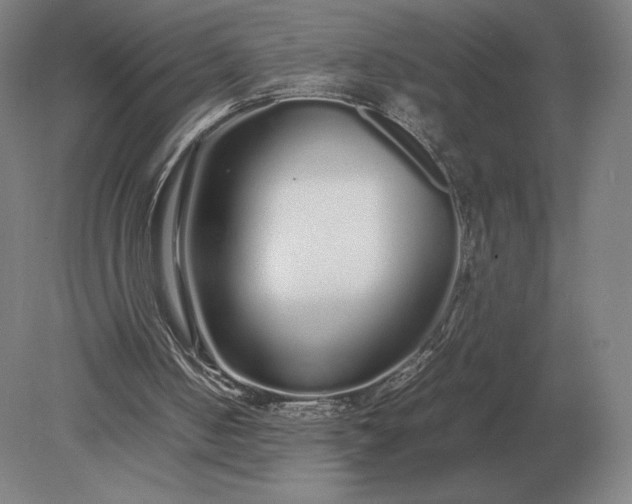 X0000079300050200612011800