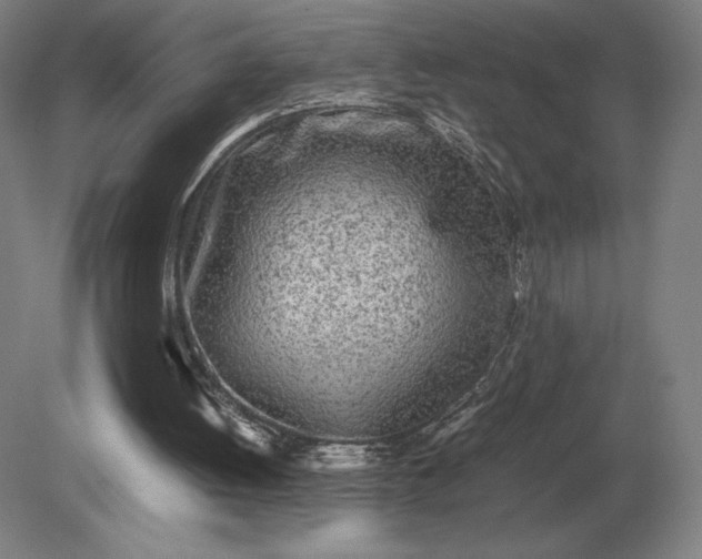 X0000079300052200612011800