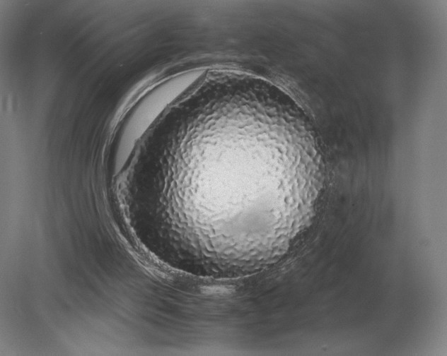 X0000079300053200612011800