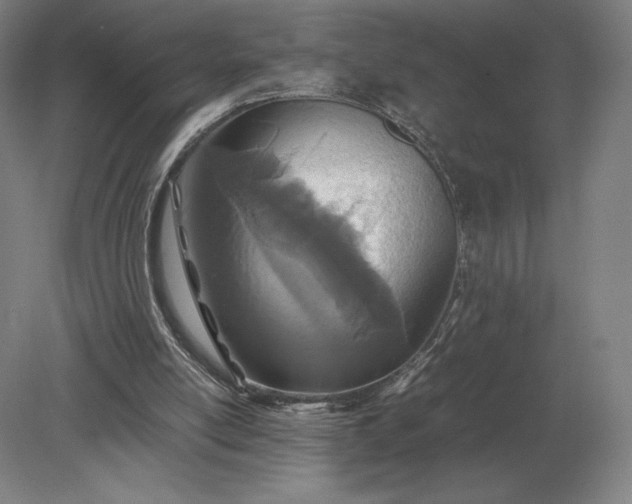 X0000079300054200612011800