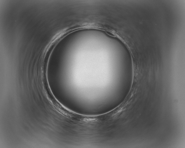 X0000079300055200612011800