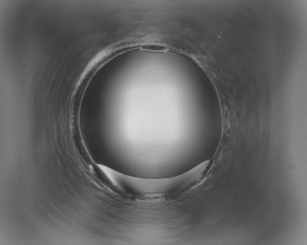 X0000079300056200612011800