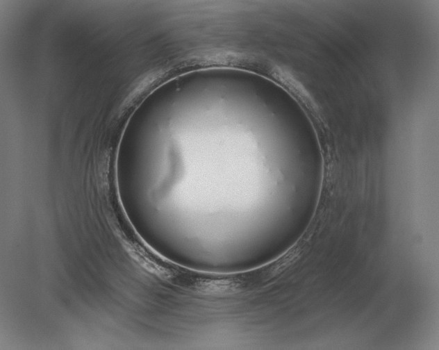 X0000079300058200612011800