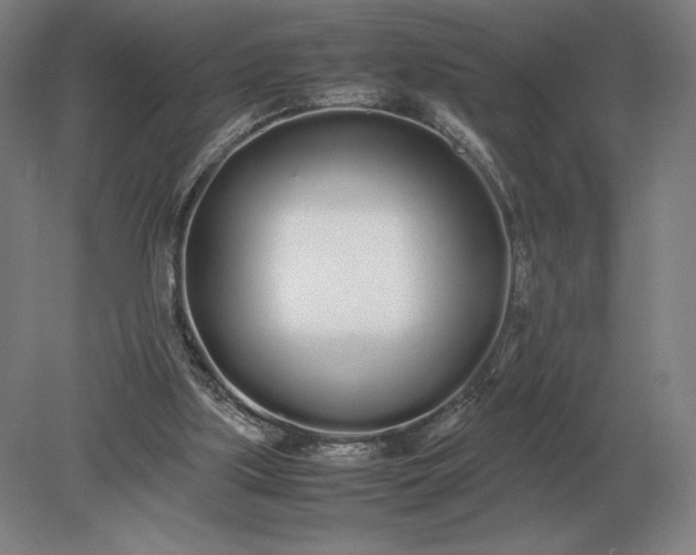 X0000079300059200612011800