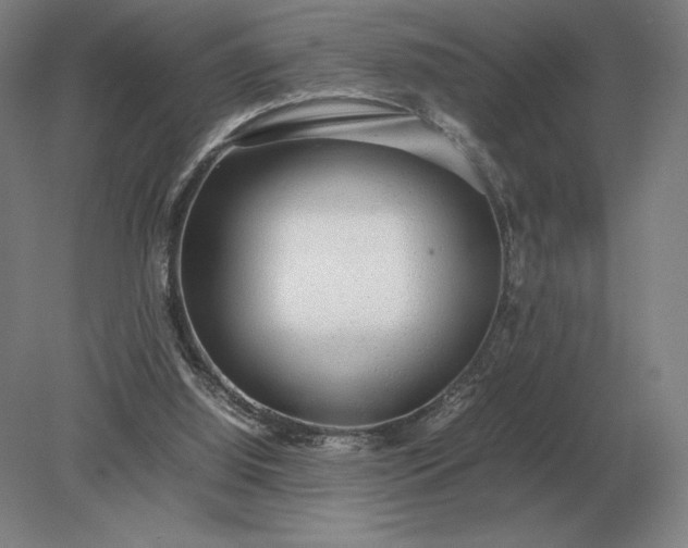 X0000079300060200612011800