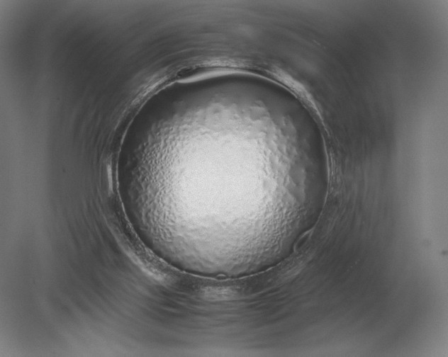 X0000079300061200612011800