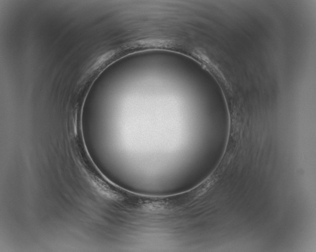 X0000079300062200612011800
