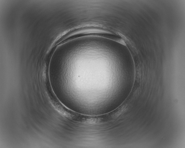 X0000079300064200612011800