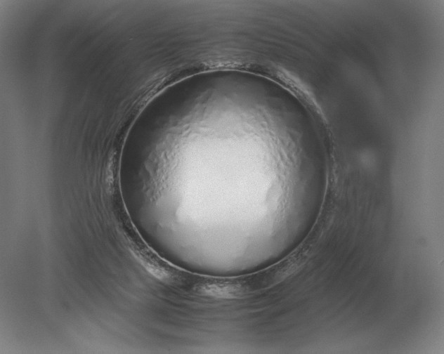 X0000079300065200612011800