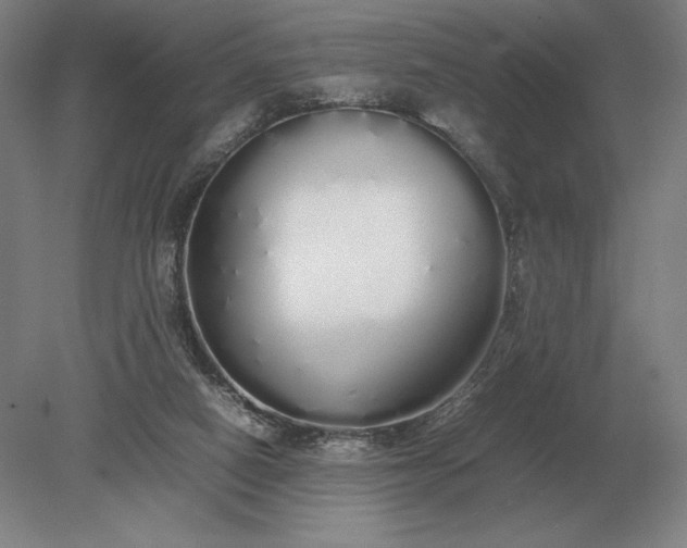 X0000079300066200612011800