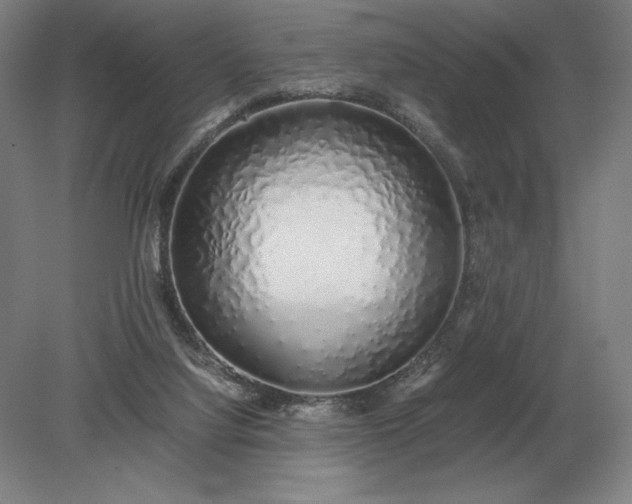 X0000079300068200612011800