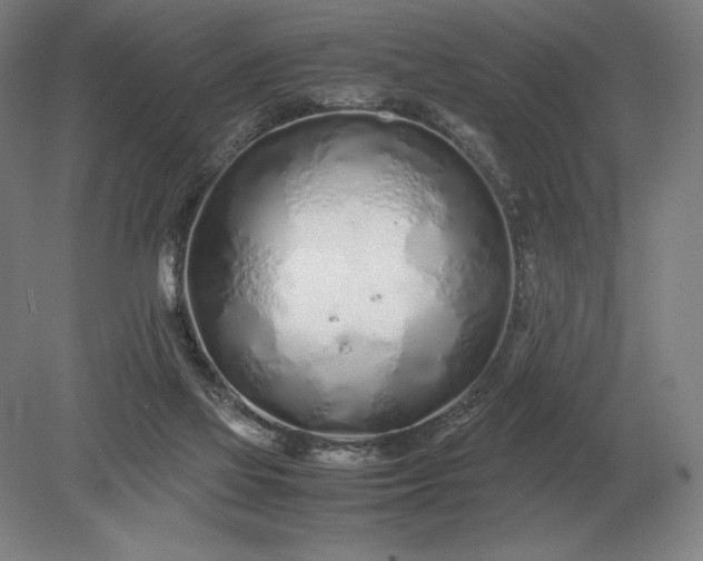 X0000079300069200612011800