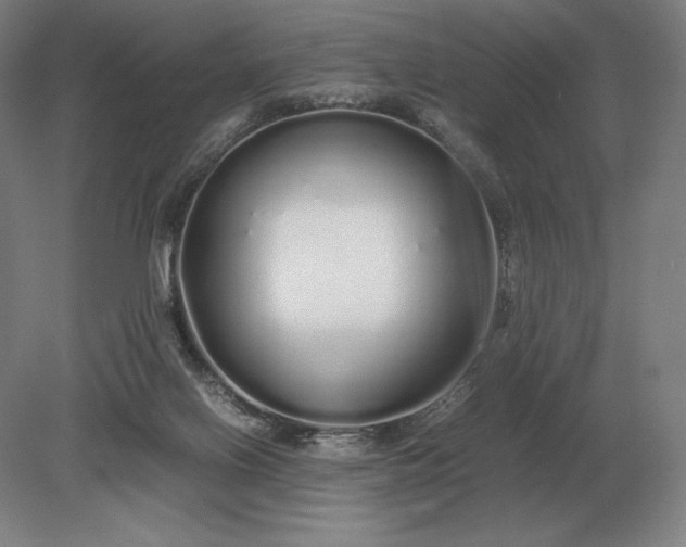 X0000079300070200612011800