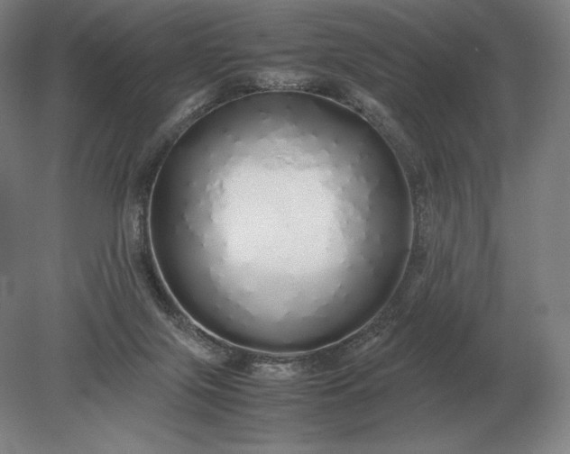 X0000079300071200612011800