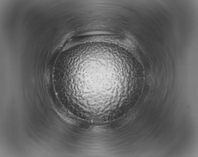 X0000079300072200612011800