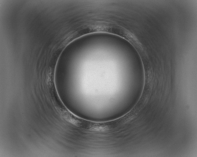 X0000079300073200612011800