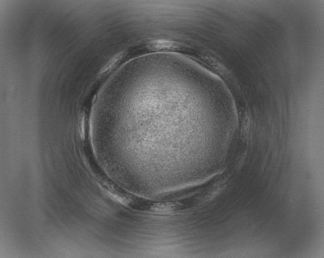 X0000079300076200612011800
