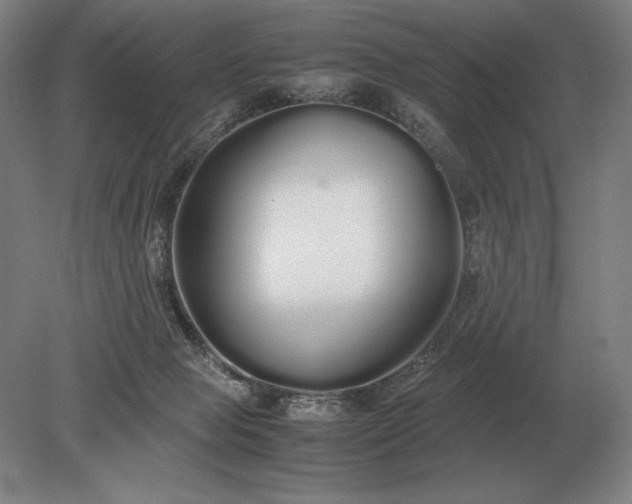 X0000079300077200612011800