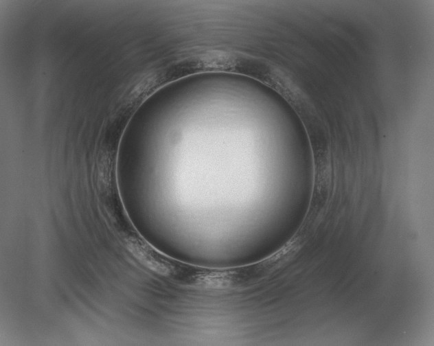X0000079300078200612011800