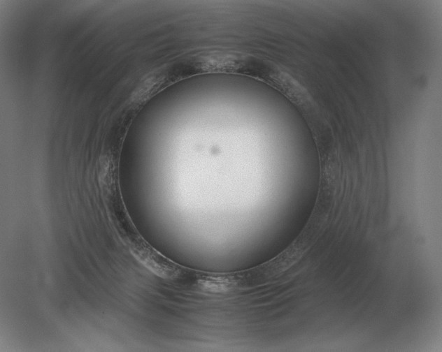 X0000079300079200612011800