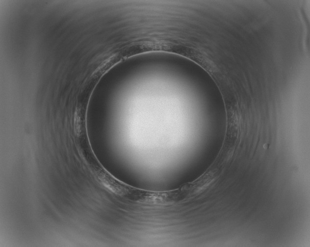 X0000079300080200612011801