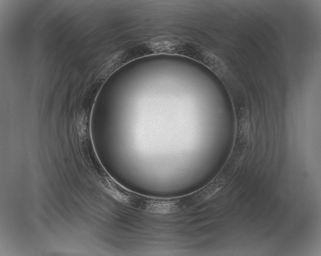 X0000079300081200612011801