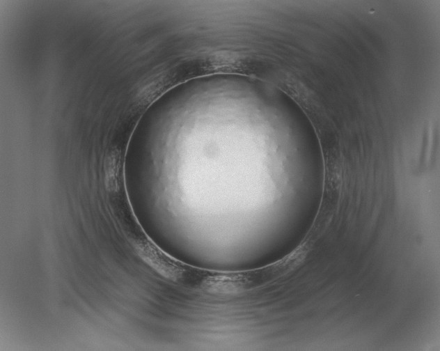 X0000079300082200612011801