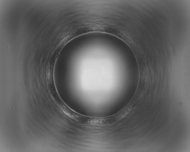 X0000079300084200612011801