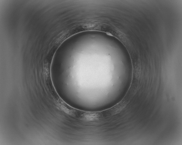 X0000079300085200612011801