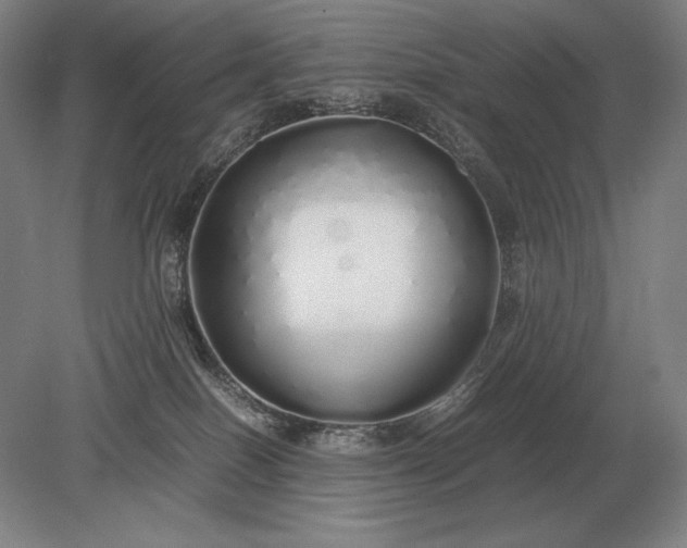 X0000079300086200612011801