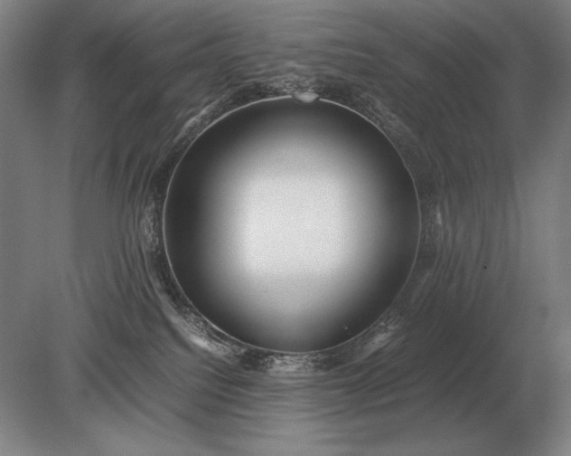 X0000079300088200612011801