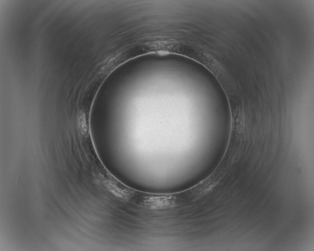 X0000079300089200612011801