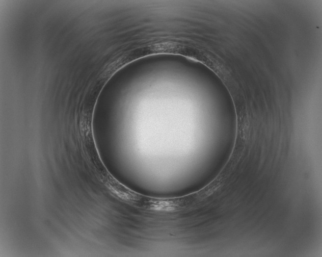 X0000079300091200612011801