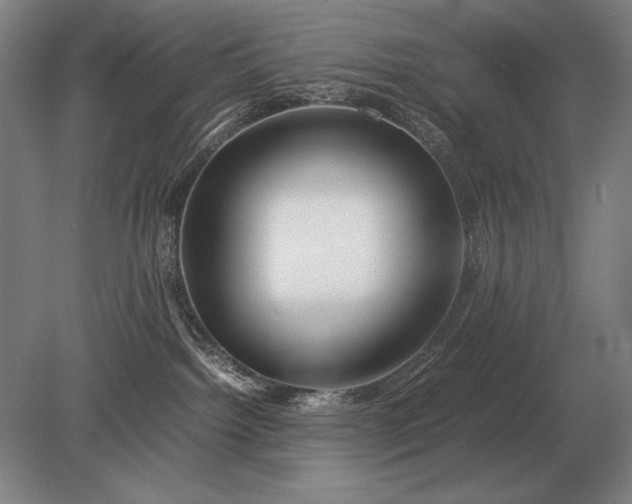 X0000079300092200612011801
