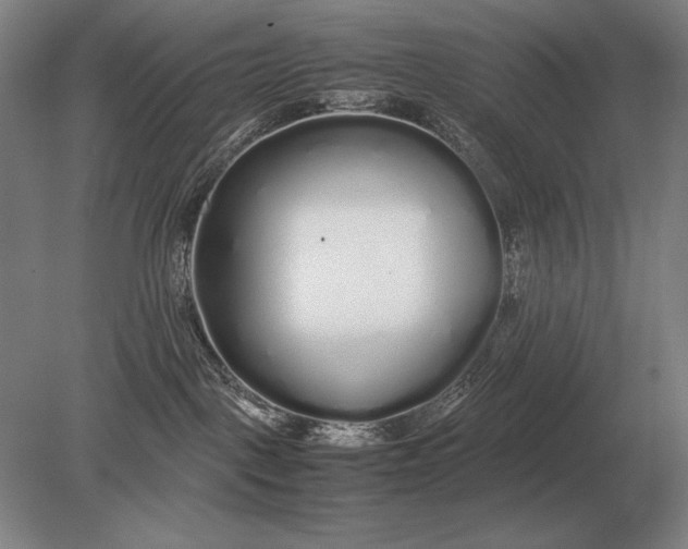 X0000079300093200612011801
