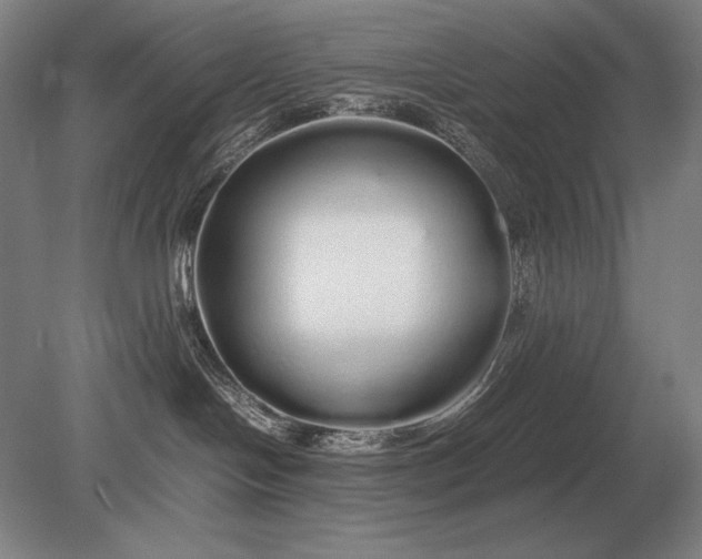 X0000079300094200612011801