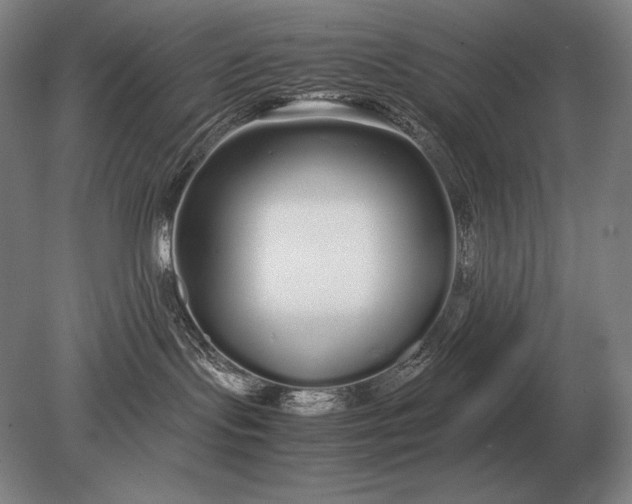 X0000079300095200612011801