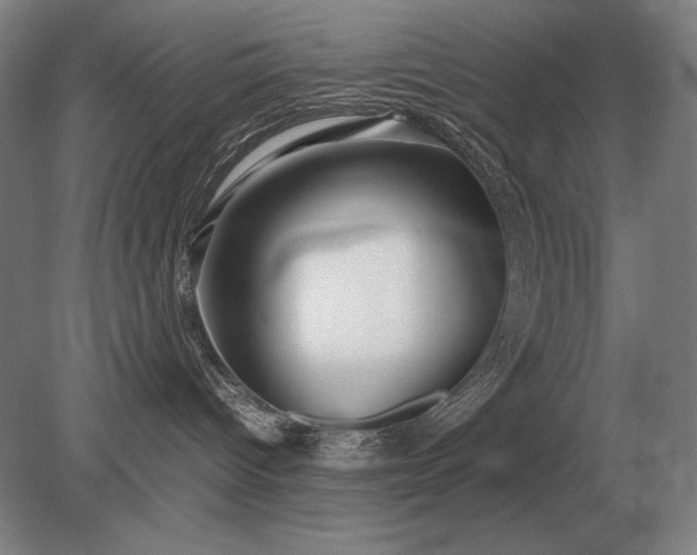 X0000079300096200612011801