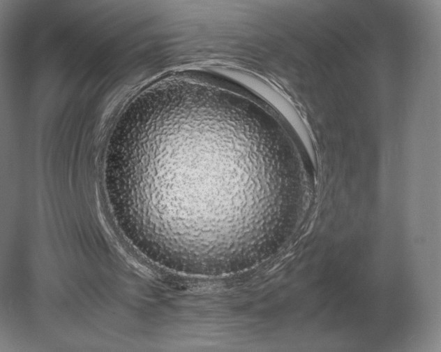 X0000079300097200612011800