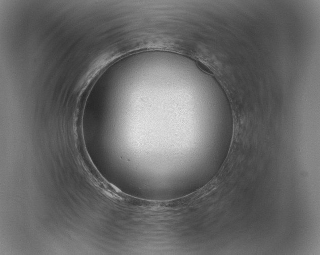 X0000079300098200612011800