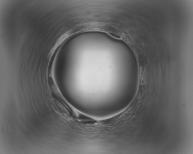 X0000079300099200612011800