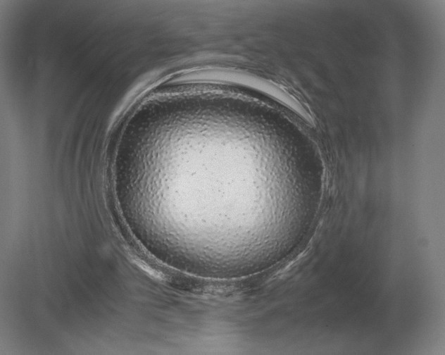 X0000079300101200612011800