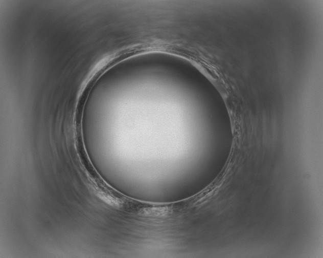 X0000079300102200612011800
