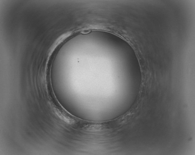 X0000079300104200612011800