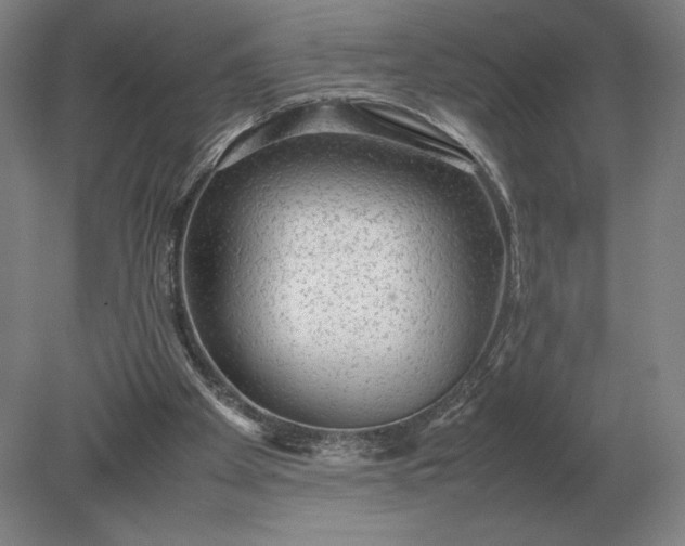 X0000079300105200612011800