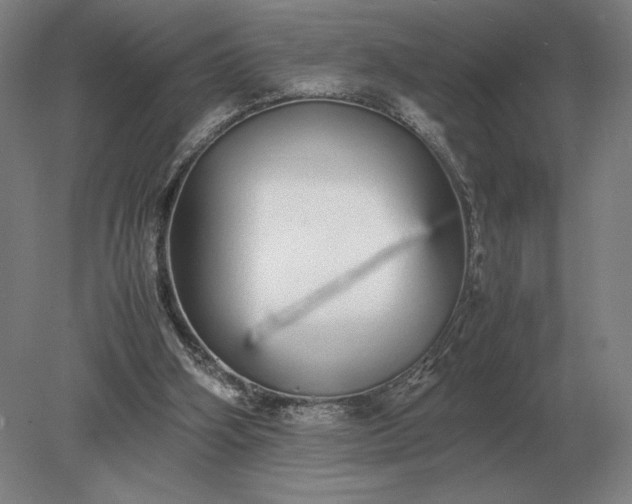 X0000079300106200612011800