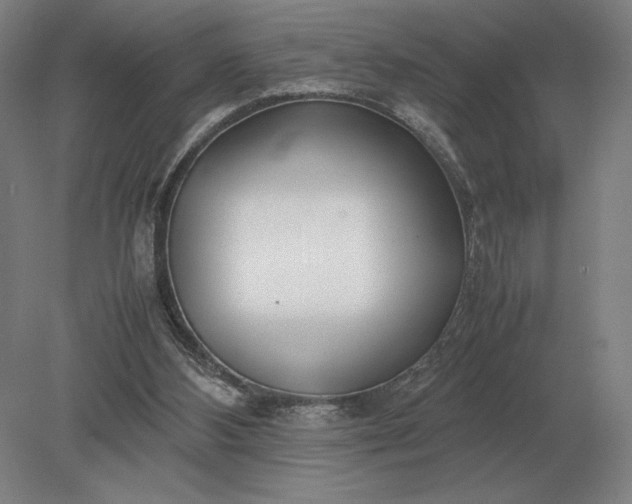 X0000079300108200612011800