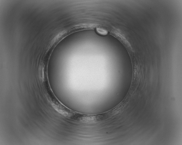 X0000079300110200612011800